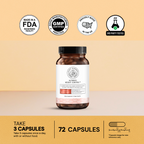 The Ultimate Weight Loss Protocol 4.0