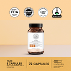 Ultimate Weight Loss Protocol 4.0