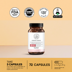 Ultimate Weight Loss Protocol 4.0