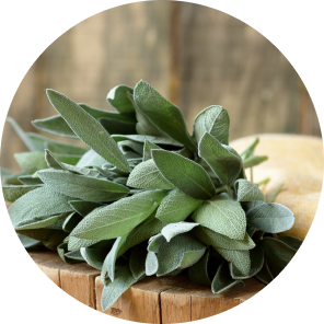 Sage Leaf Extract